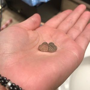Tiffany heart earrings